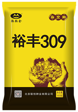 裕豐309